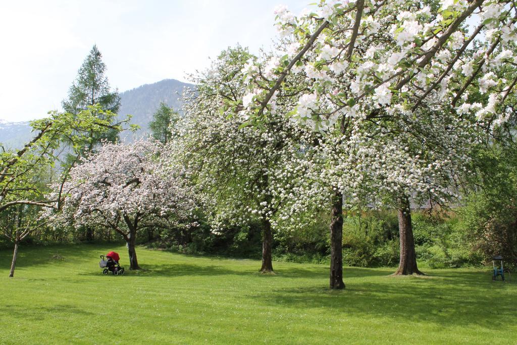 Hotel Hochsteg Guetl | Traunsee Salzkammergut Ebensee Quarto foto